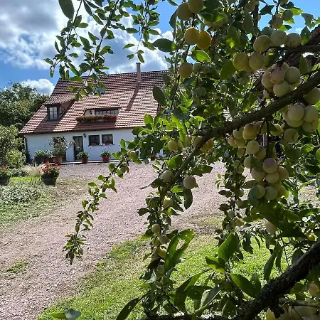 La Grange Renovee Dans Le Verger * Merkwiller-Pechelbronn